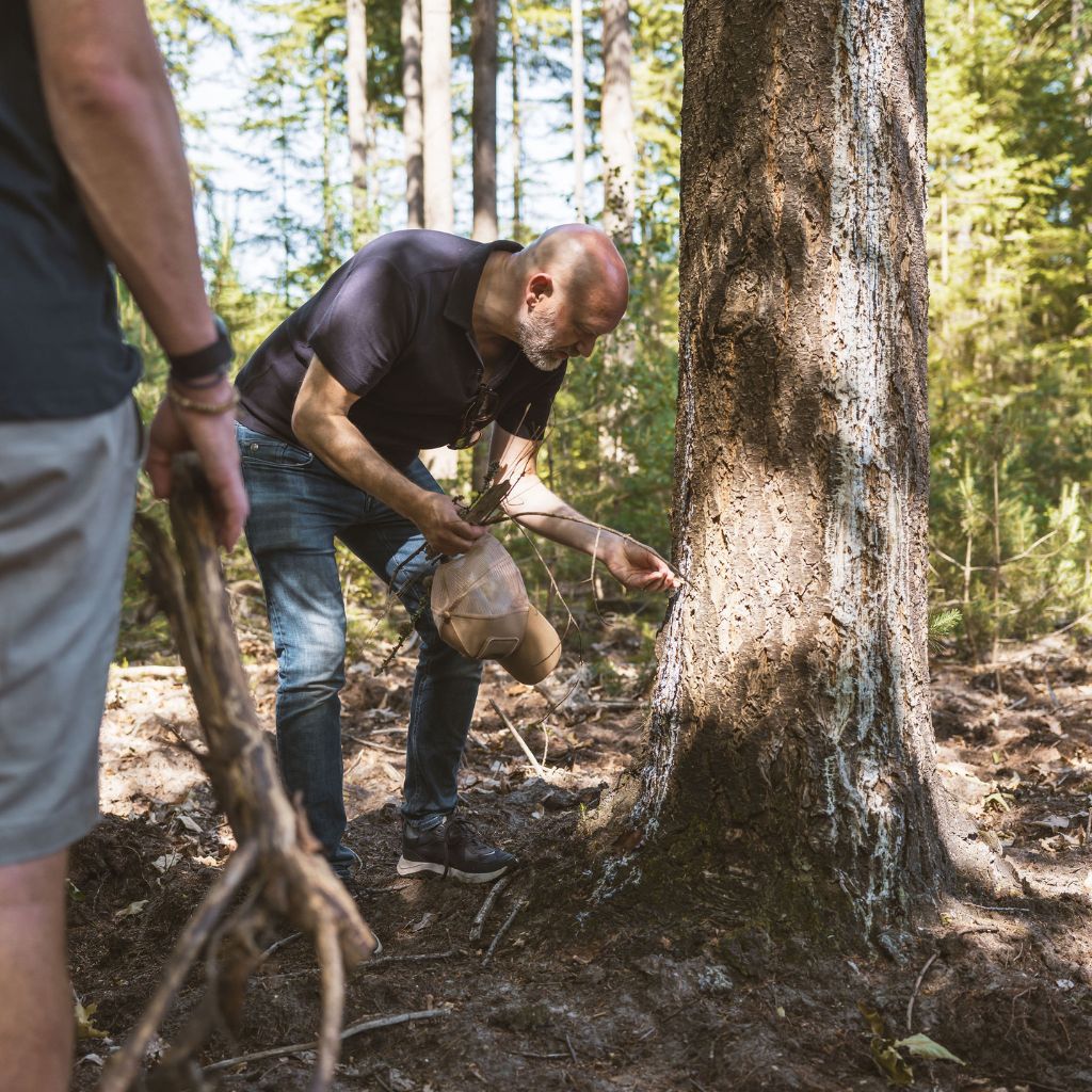 Bushcrafting met collega's op de Veluwe