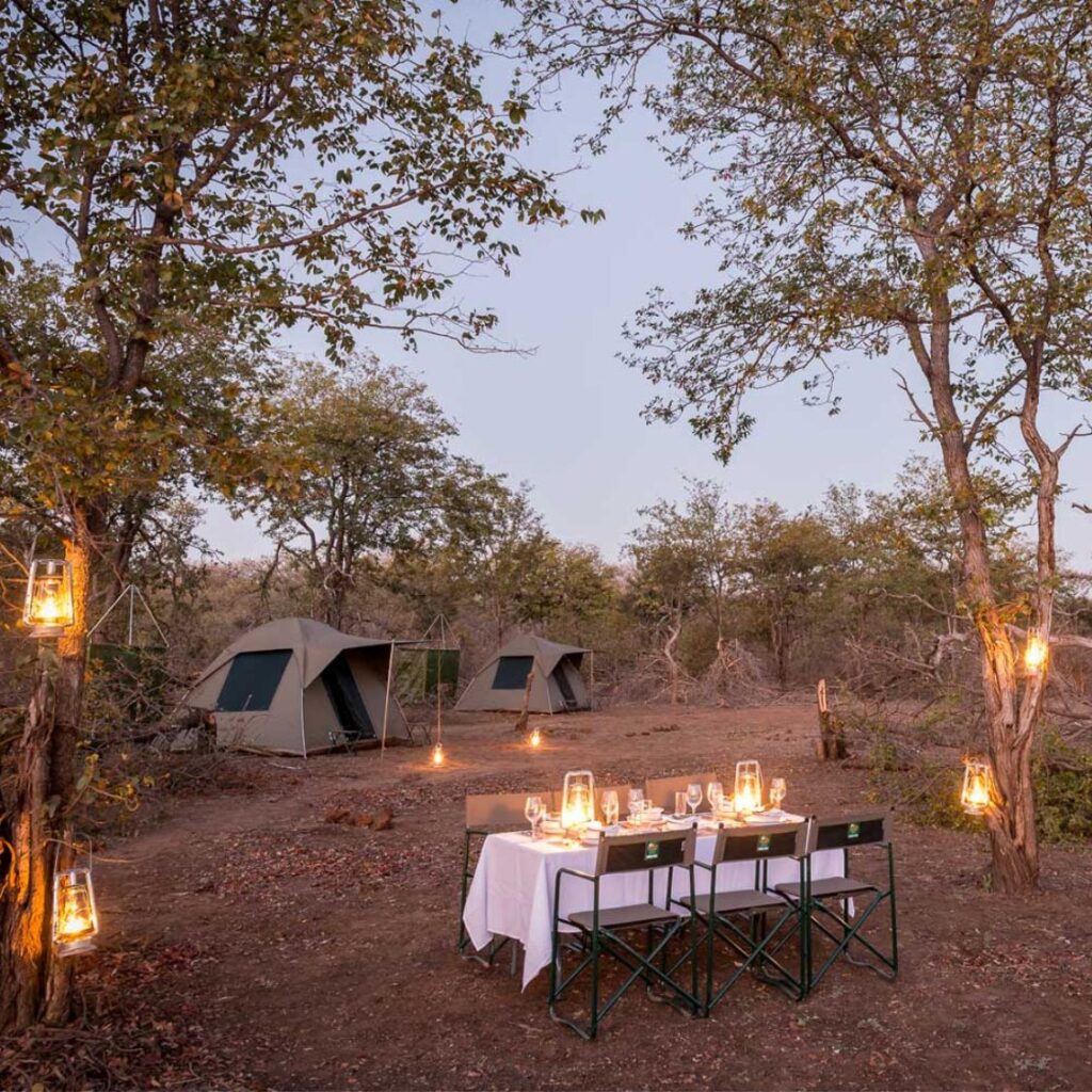 Leiderschapstrail naar Kruger Park in Zuid-Afrika